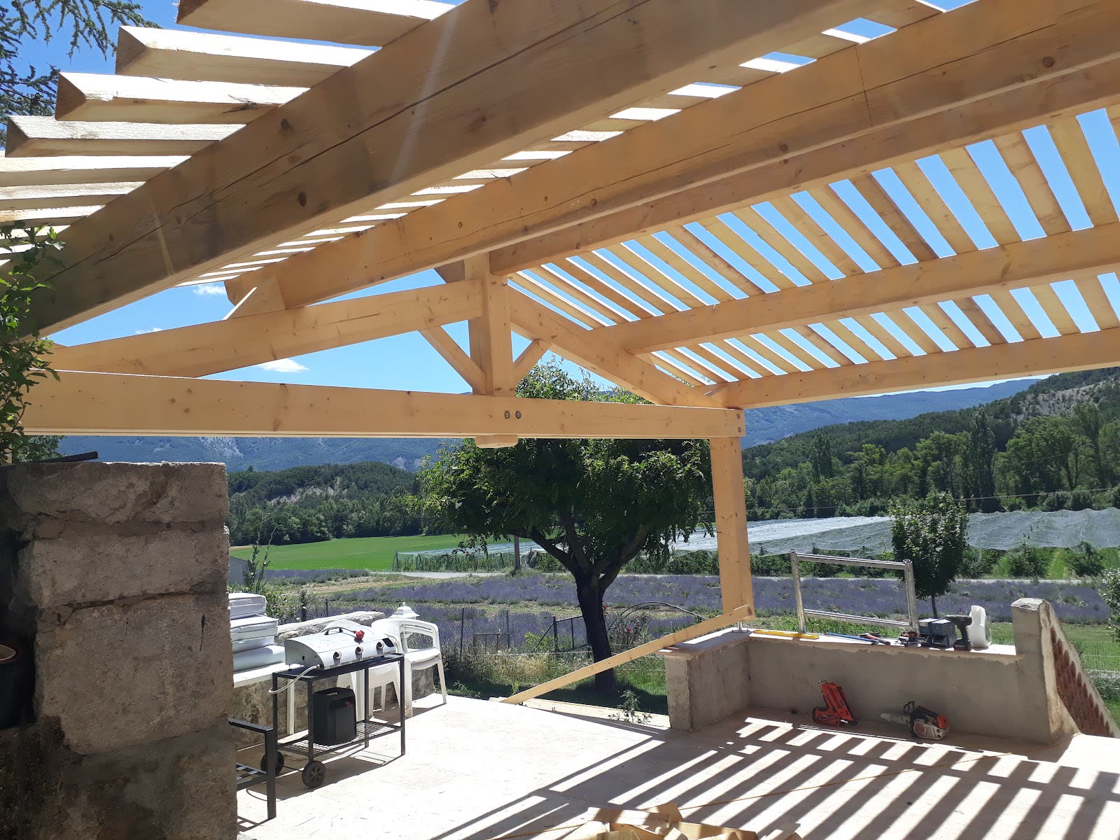 Vue sous une structure de pergola en bois
